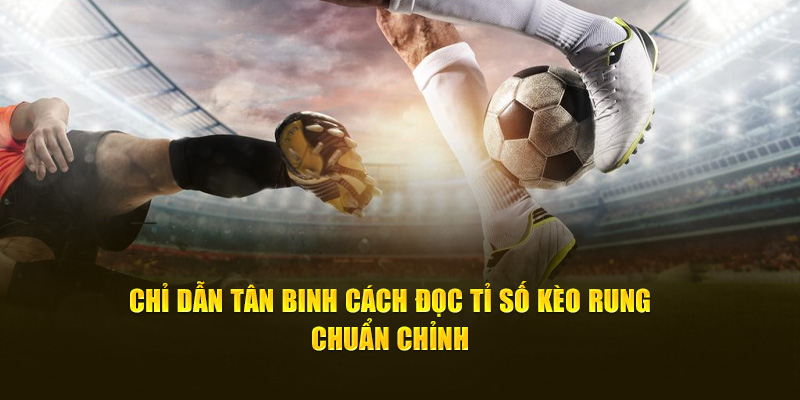 Chỉ dẫn tân binh cách đọc tỉ số kèo rung chuẩn chỉnh 