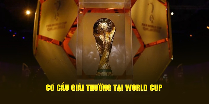 Cơ cấu giải thưởng tại World Cup