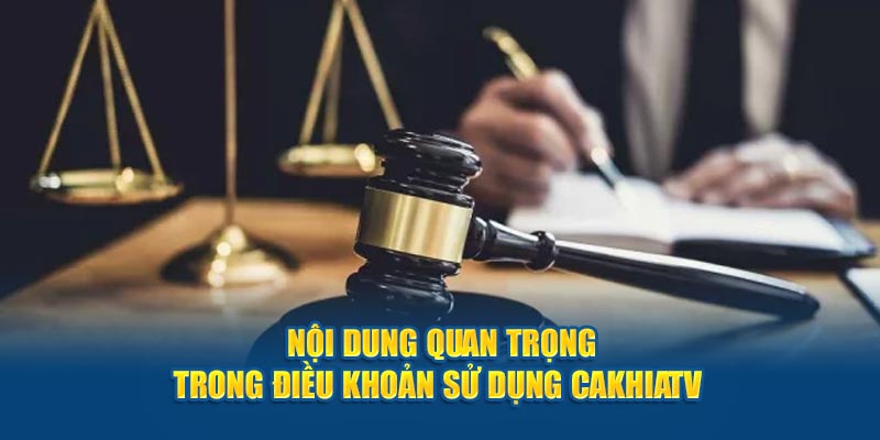 Hệ thống cần cập nhật dịch vụ tốt cho hội viên