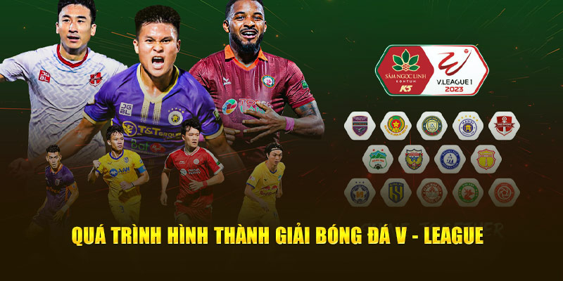 Quá trình hình thành giải bóng đá V-League