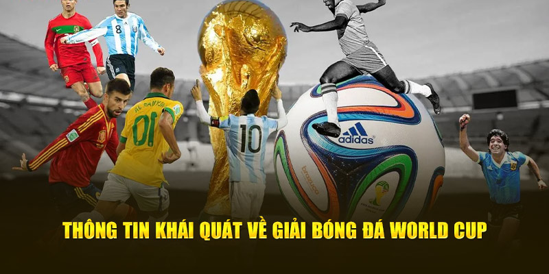 Thông tin khái quát về giải bóng đá World Cup