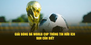 Các thông tin xoay quay giải bóng đá World Cup