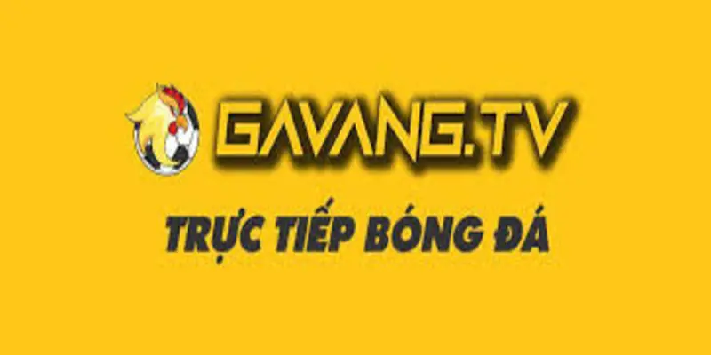 gavangvip.info