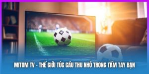 Mitom TV: Trải Nghiệm Xem Bóng Đá Cho Người Hâm Mộ 2025